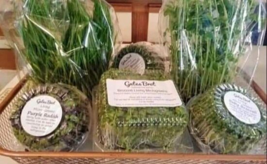 Living Micro-Greens 